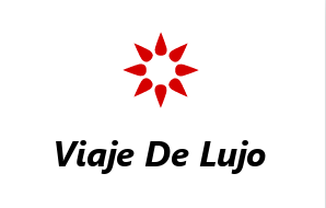 VDL Logo